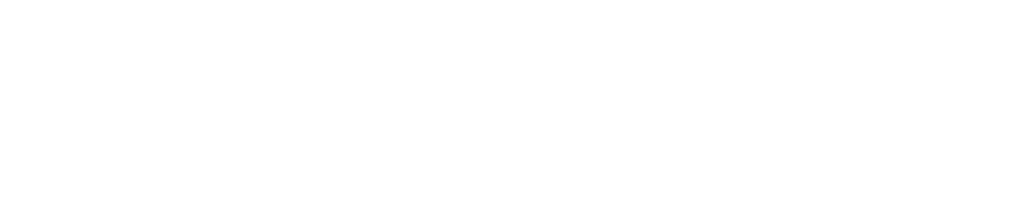 CFO Logo in white