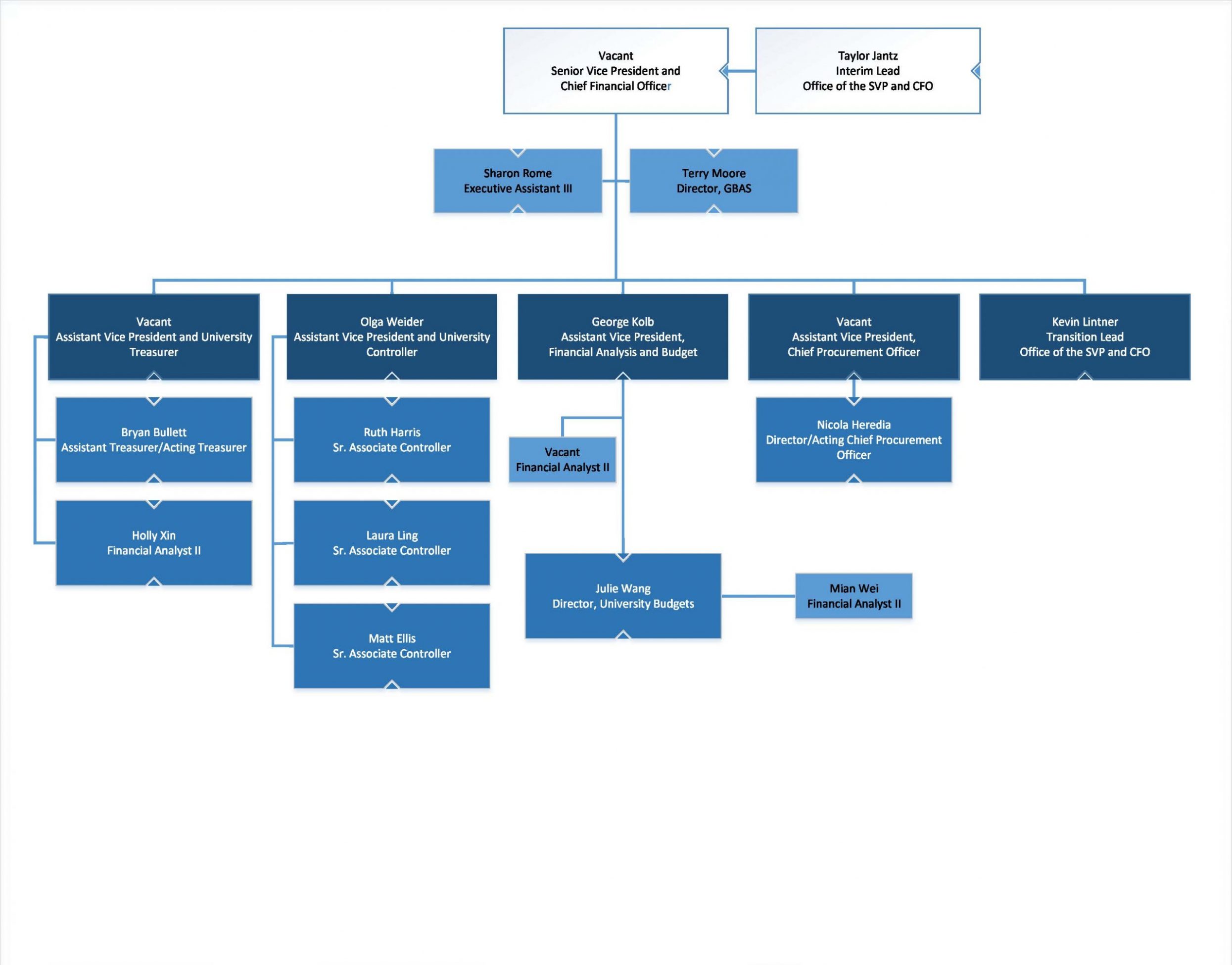 Organizational Chart CFO CFO